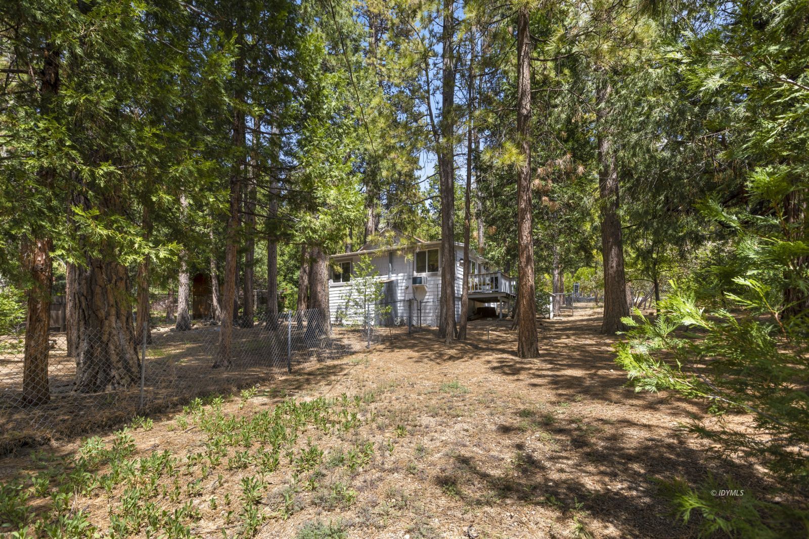 25115 Rim Rock Road Idyllwild, CA 92549 - Photo 24 of 26 Lovely wooded lot