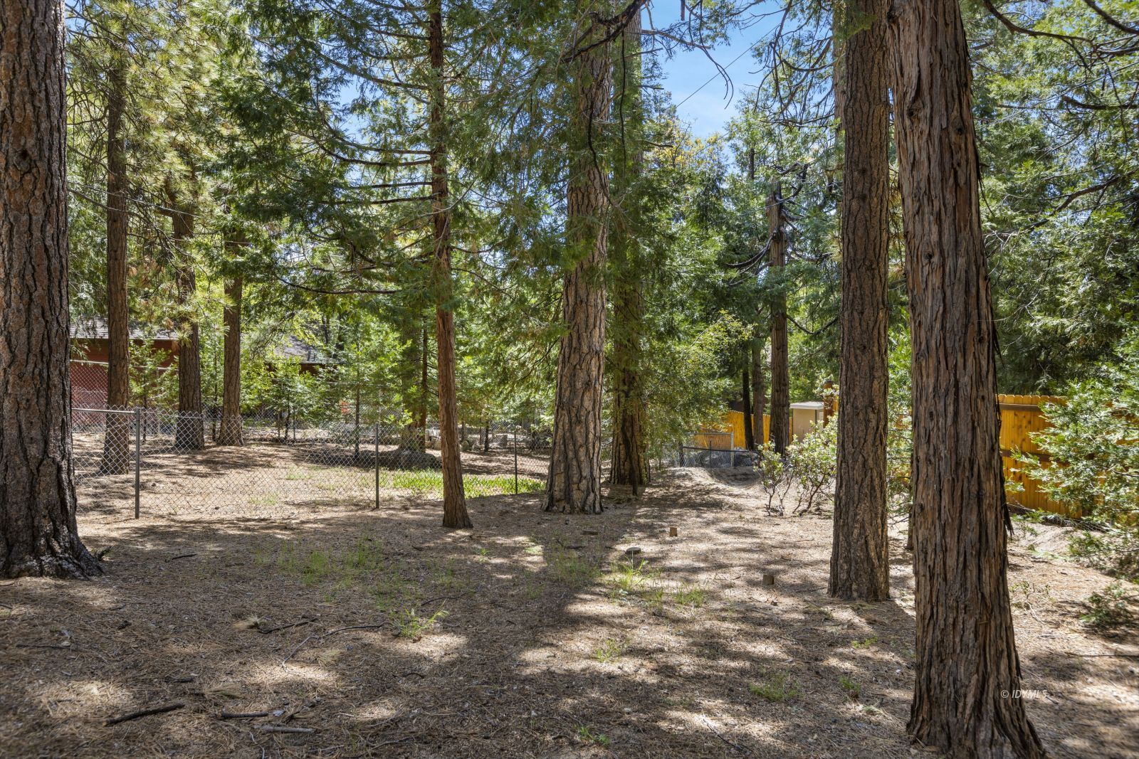 25115 Rim Rock Road Idyllwild, CA 92549 - Photo 25 of 26 Flat usable lot