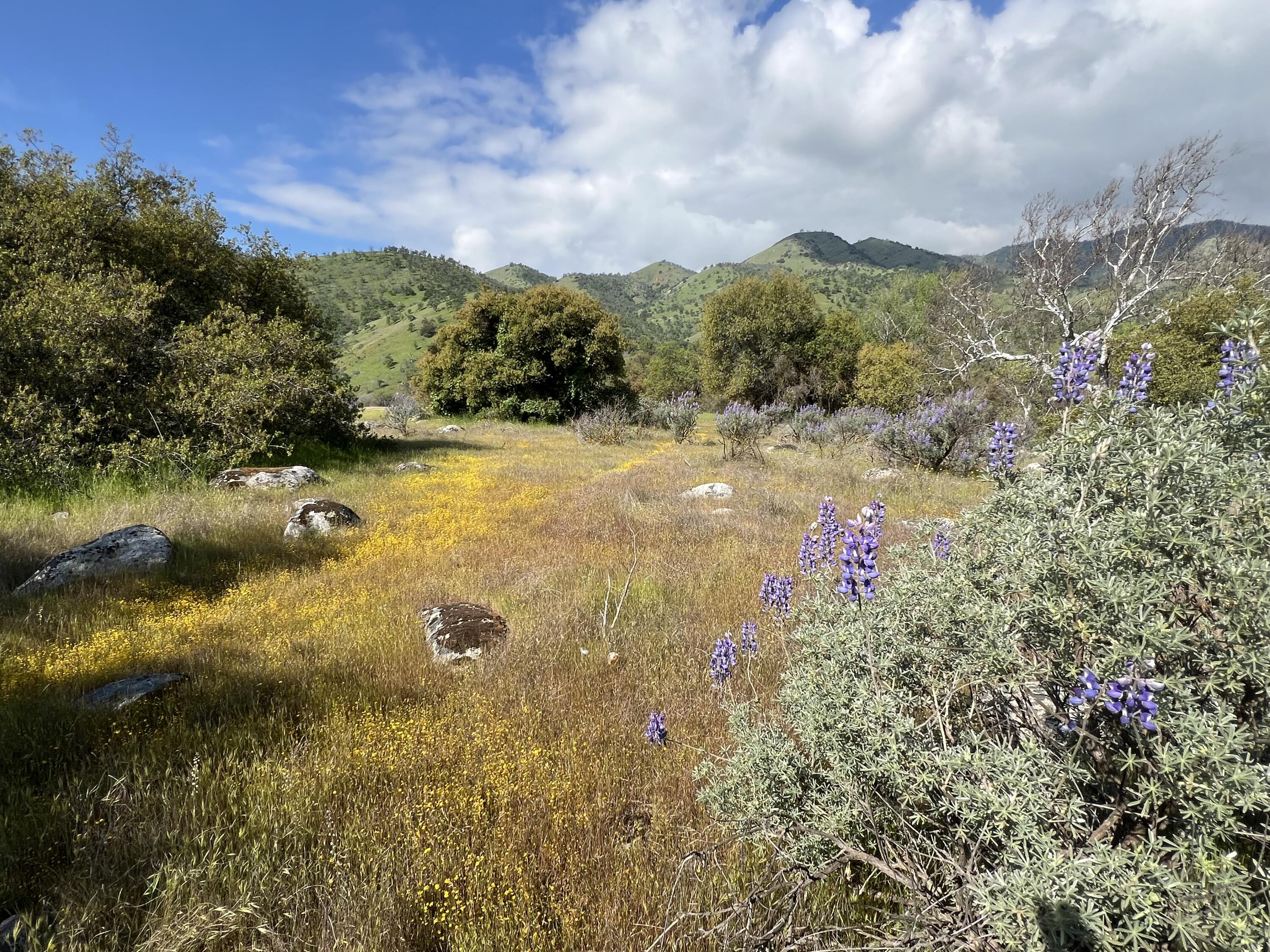 0 Sierra Drive Three Rivers, CA 93271 - Photo 13 of 17 a view of lake
