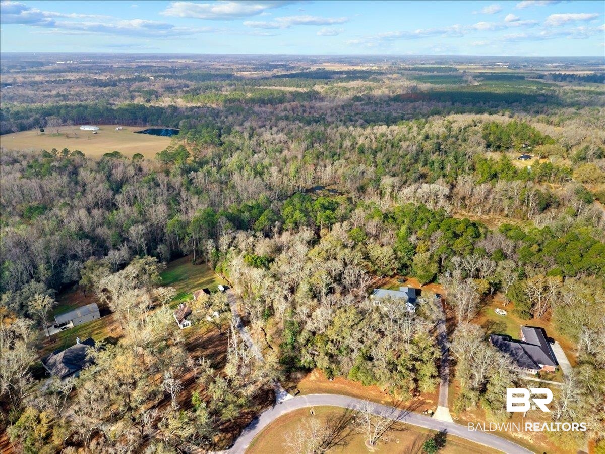 Chene Trace Robertsdale, AL 36567 - Photo 2 of 22 Aerial view of a forest
