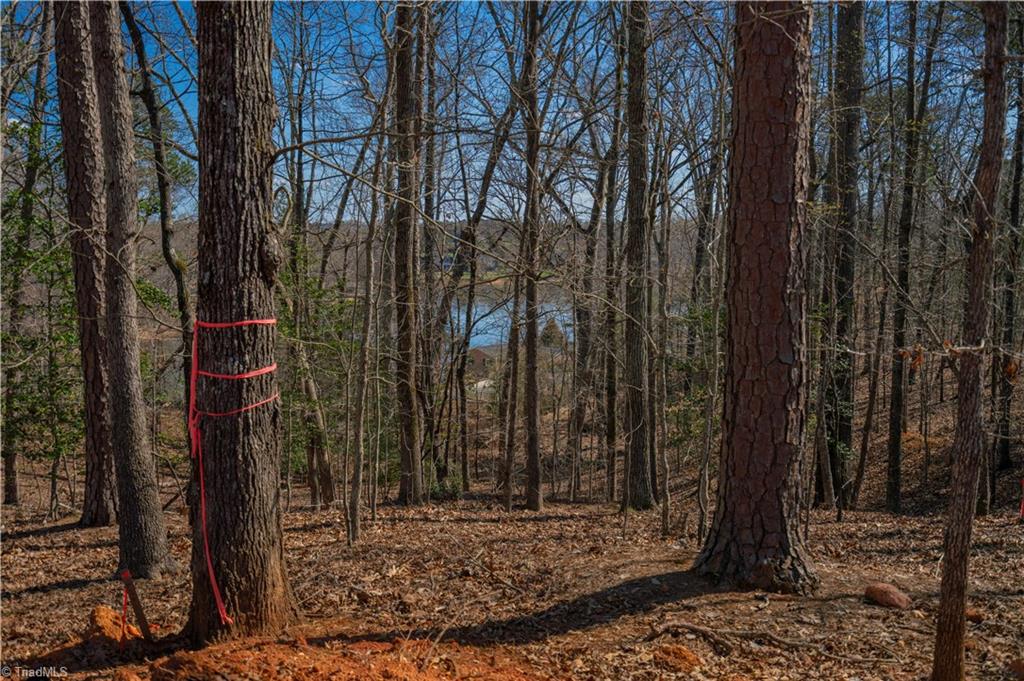 2827 Beckner Road Lexington, NC 27292 - Photo 4 of 5