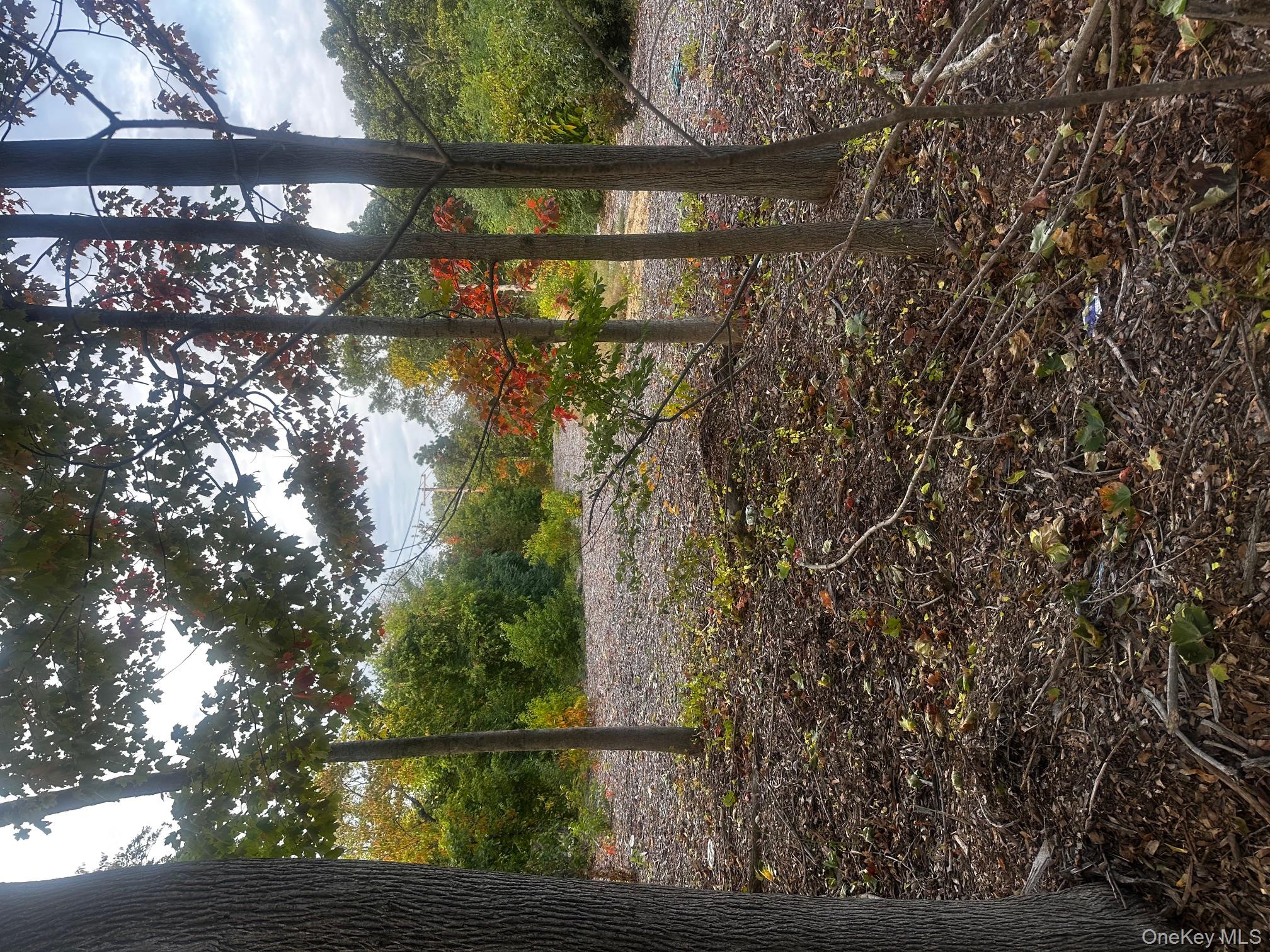 0 Joshuas Path Central Islip, NY 11722 - Photo 3 of 8 a backyard of a house with lots of green space