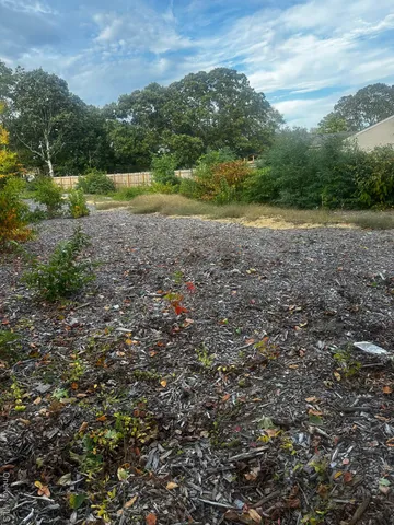 a view of outdoor space and yard