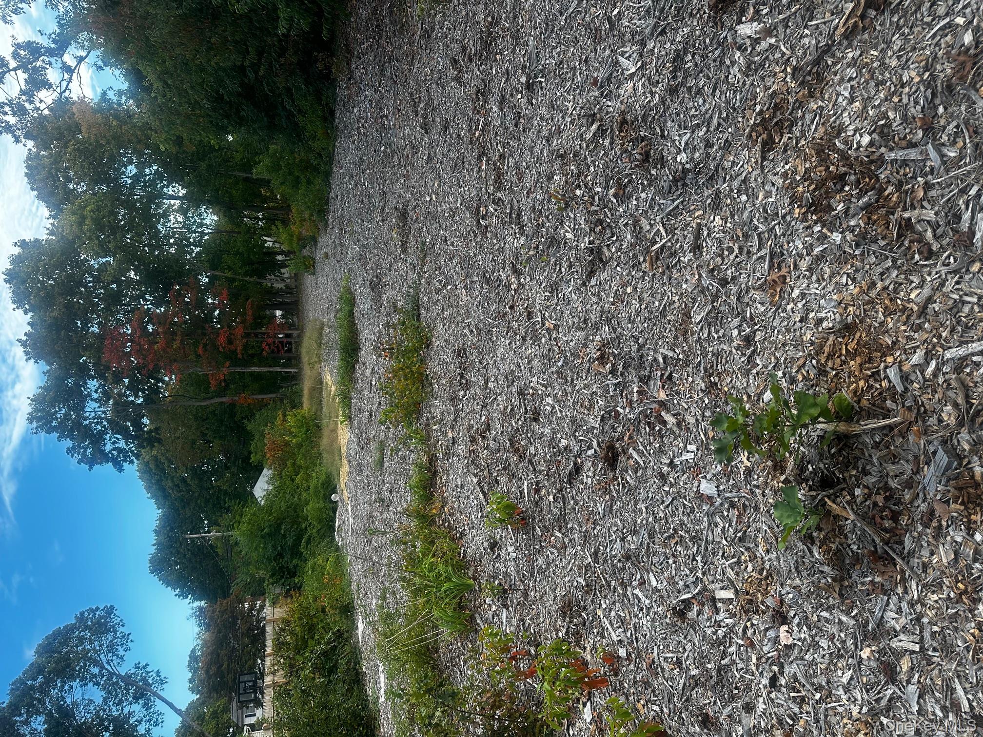 0 Joshuas Path Central Islip, NY 11722 - Photo 5 of 8 a view of a yard with a tree