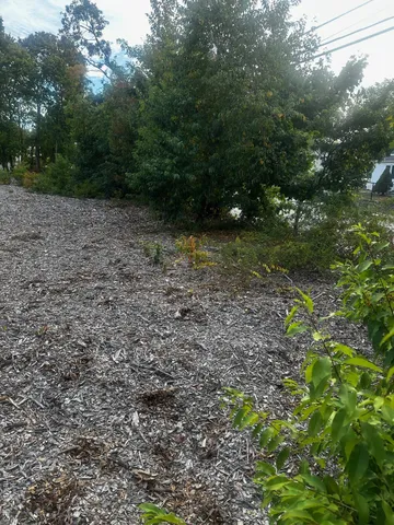 a view of a garden with trees