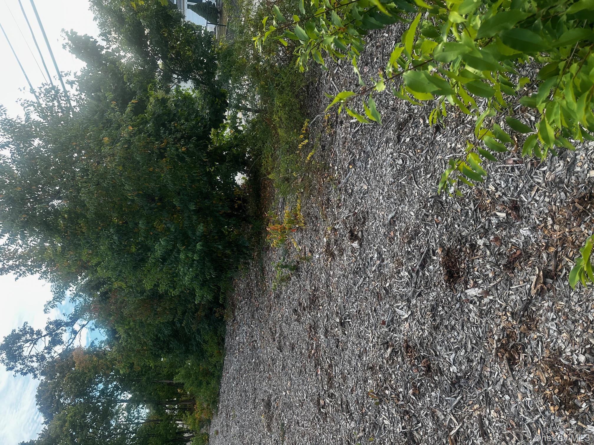 0 Joshuas Path Central Islip, NY 11722 - Photo 6 of 8 a view of a garden with trees