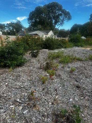 a view of outdoor space and yard