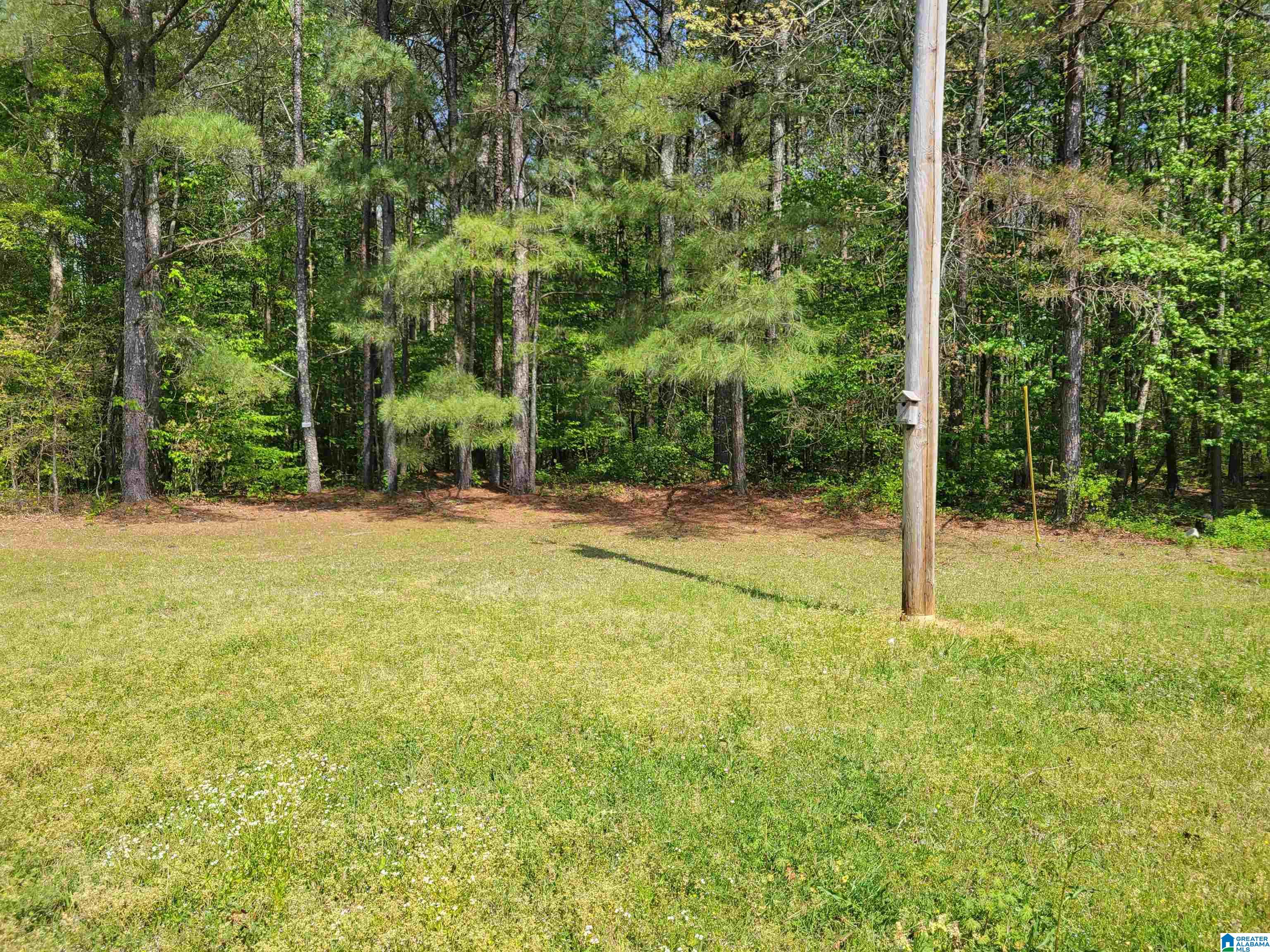 9050 County Road 222 Logan, AL 35098 - Photo 27 of 31