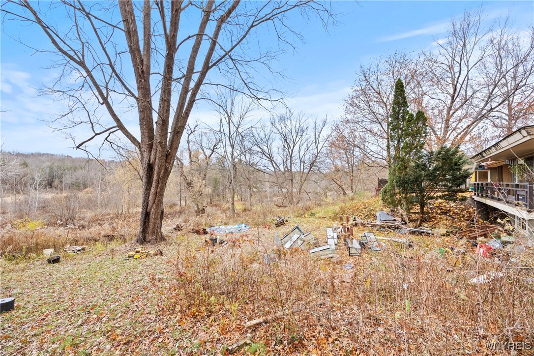 6416 Hunters Creek Road Wales, NY 14139 - Photo 22 of 28