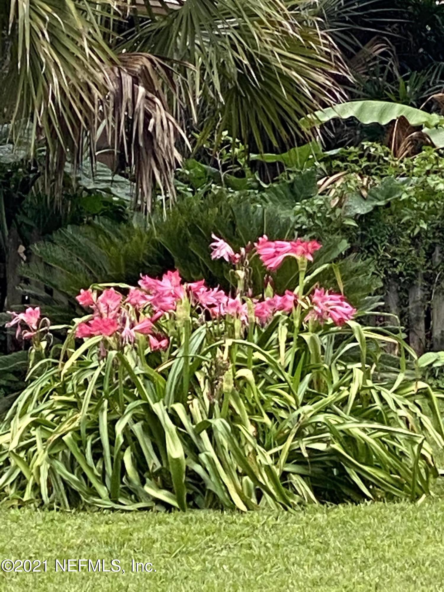 4745 Birkenhead Road Jacksonville, FL 32210 - Photo 75 of 77 Front yard flowers