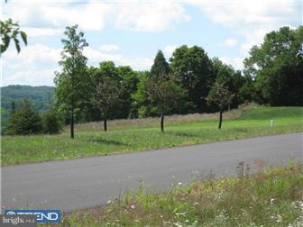 3 Shull Farm Road Erwinna, PA 18920 - Photo 8 of 12