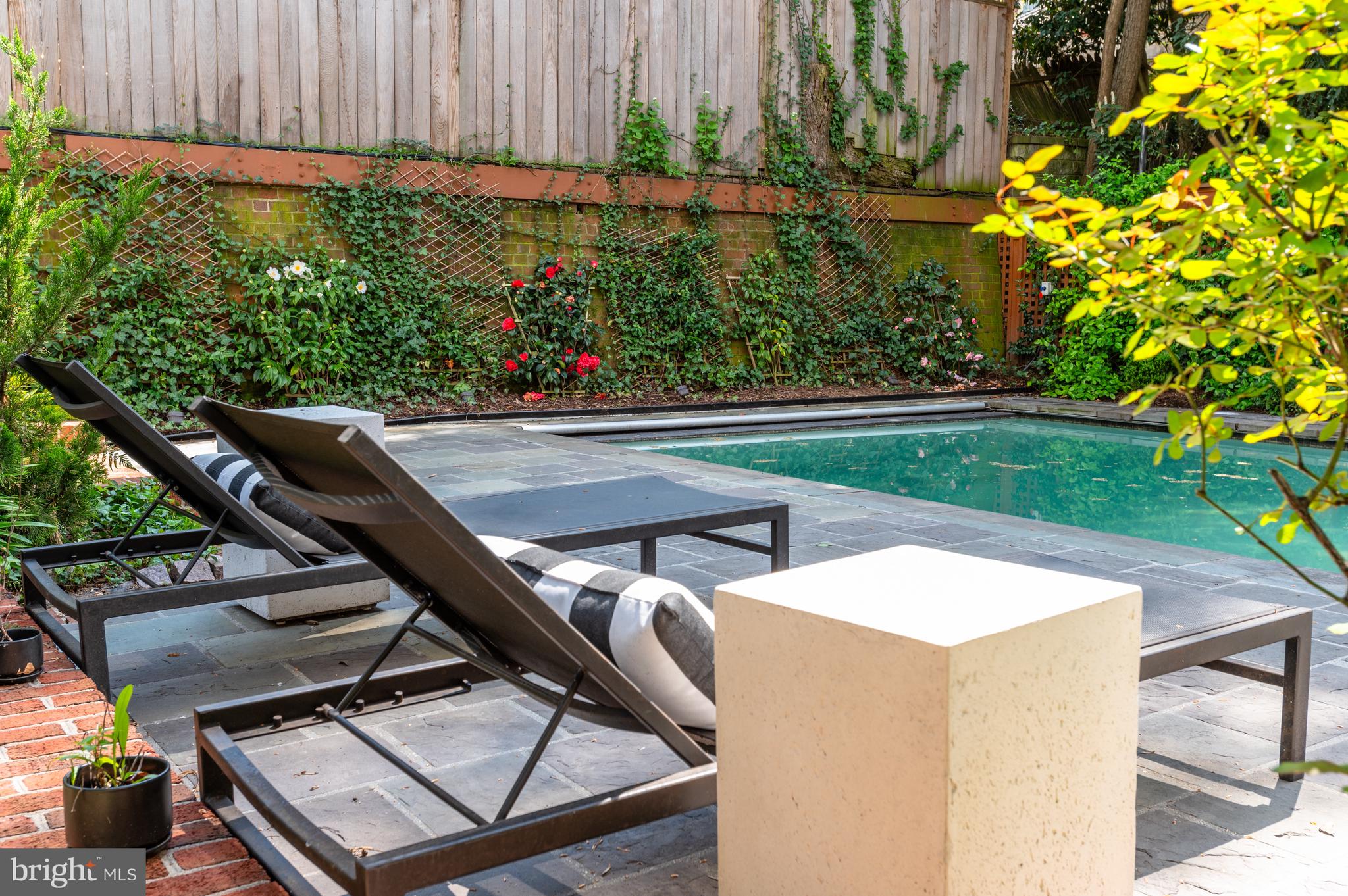 2468 Belmont Road Northwest Washington, DC 20008 - Photo 46 of 49 a view of a backyard with plants