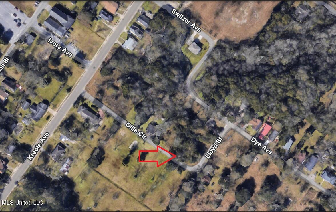 Lloyd Street Moss Point, MS 39563 - Photo 2 of 2 Llyod Pic 2