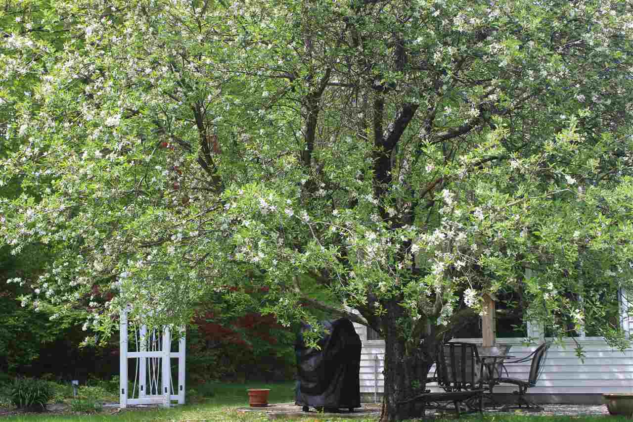56 Battenkill Lane Manchester, VT 05254 - Photo 17 of 21 Gallery Image 17