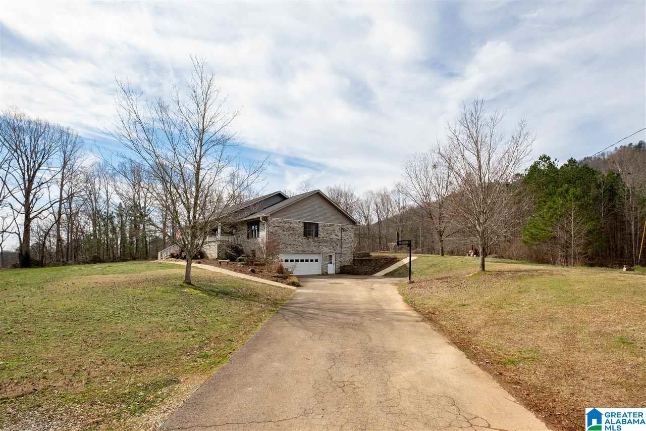 1295 Crawford Cove Road Springville, AL 35146 - Photo 3 of 27