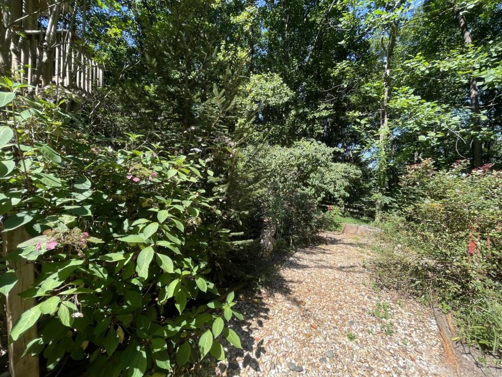 988 Rocktree Road Dahlonega, GA 30533 - Photo 34 of 53