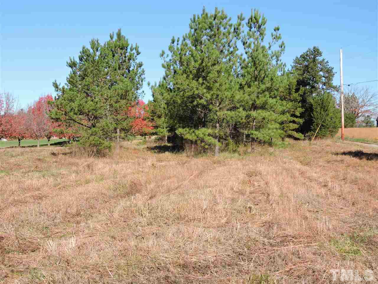 1.21-acres Virgilina Road Roxboro, NC 27574 - Photo 2 of 4 a backyard of a house with lots of green space
