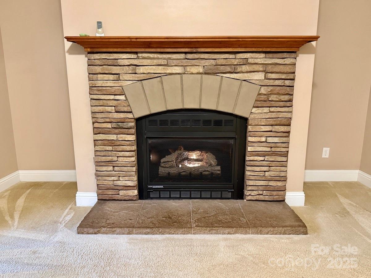 1054 Sandy Springs Road Rutherfordton, NC 28139 - Photo 4 of 33 a fireplace with a fireplace