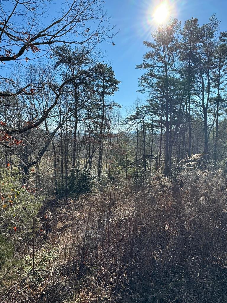0 Mistletoe Ridge Murphy, NC 28906 - Photo 29 of 34