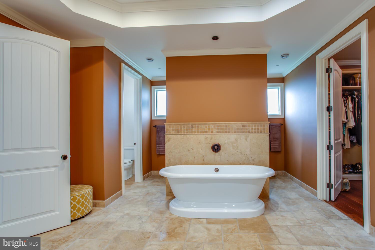 5500 Brooks Woods Road Lothian, MD 20711 - Photo 36 of 107 Luxury hot tub