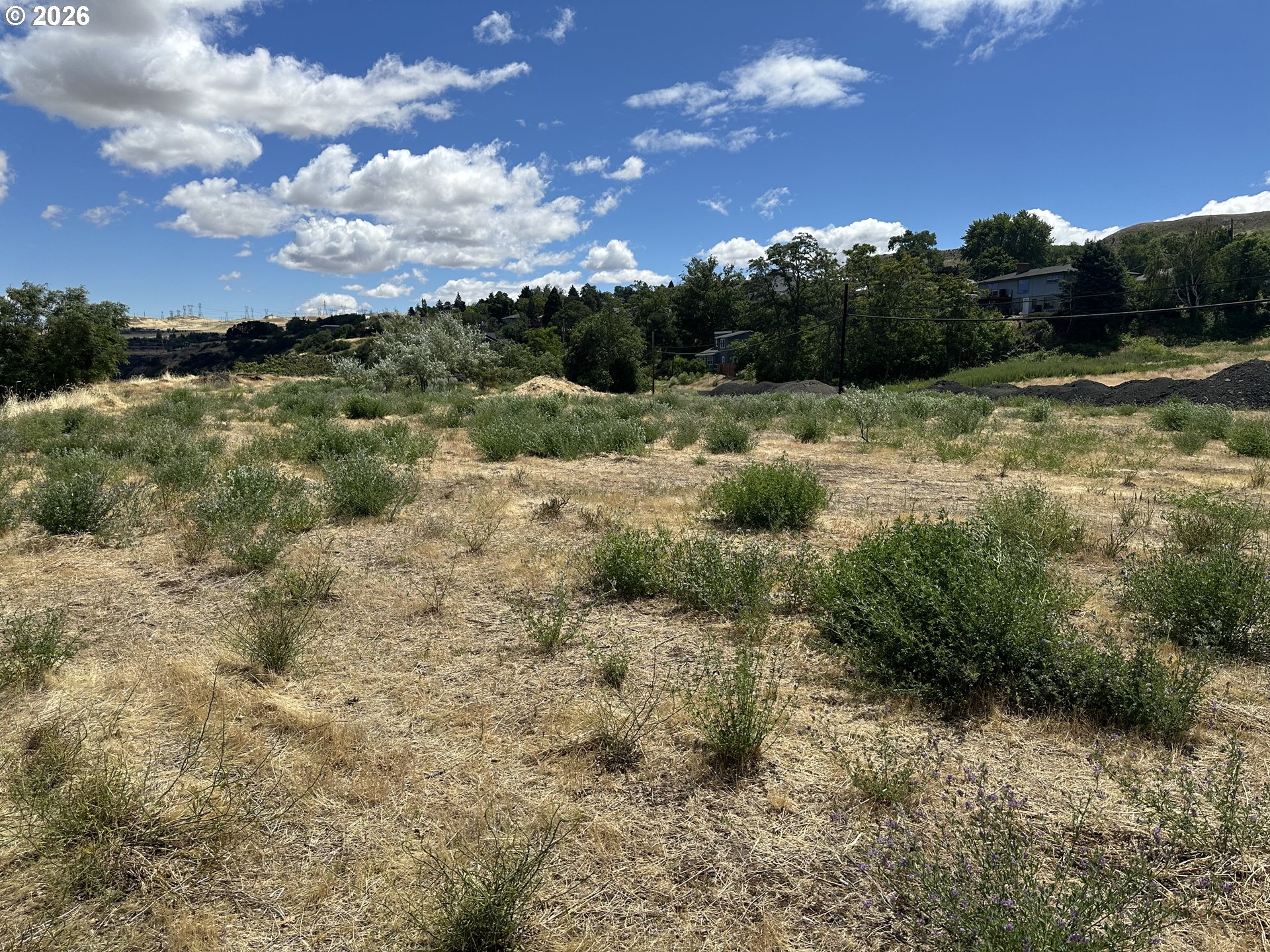 East 9th The Dalles, OR 97058 - Photo 6 of 10