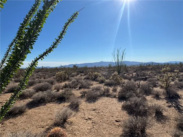 $47,900 | 242-12-013 South Sundance Kid Road, Yucca, AZ 86438