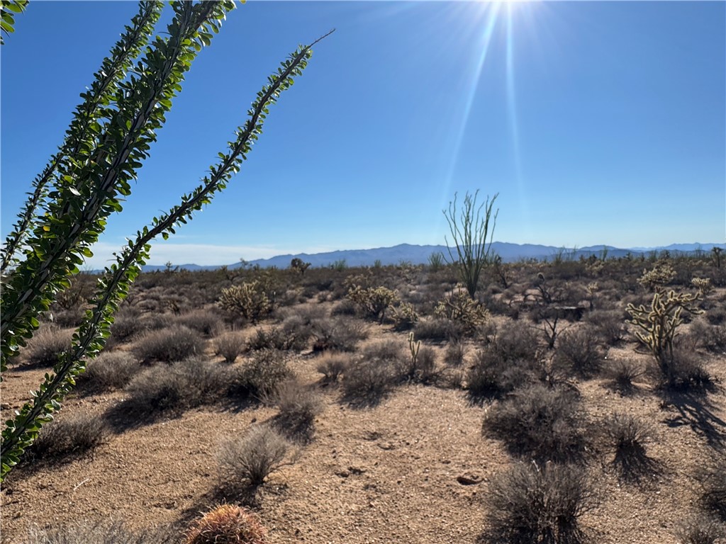 242-12-013 South Sundance Kid Road Yucca, AZ 86438 - Photo 1 of 17
