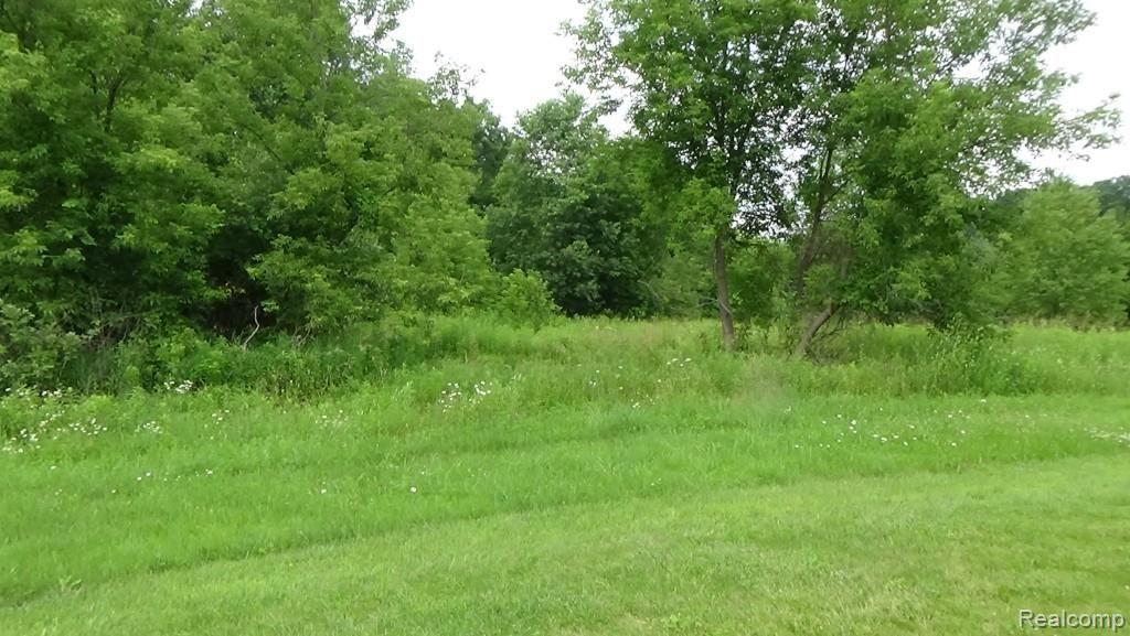 7 Timber Green Court Howell, MI 48843 - Photo 2 of 5 DSC01187.jpg