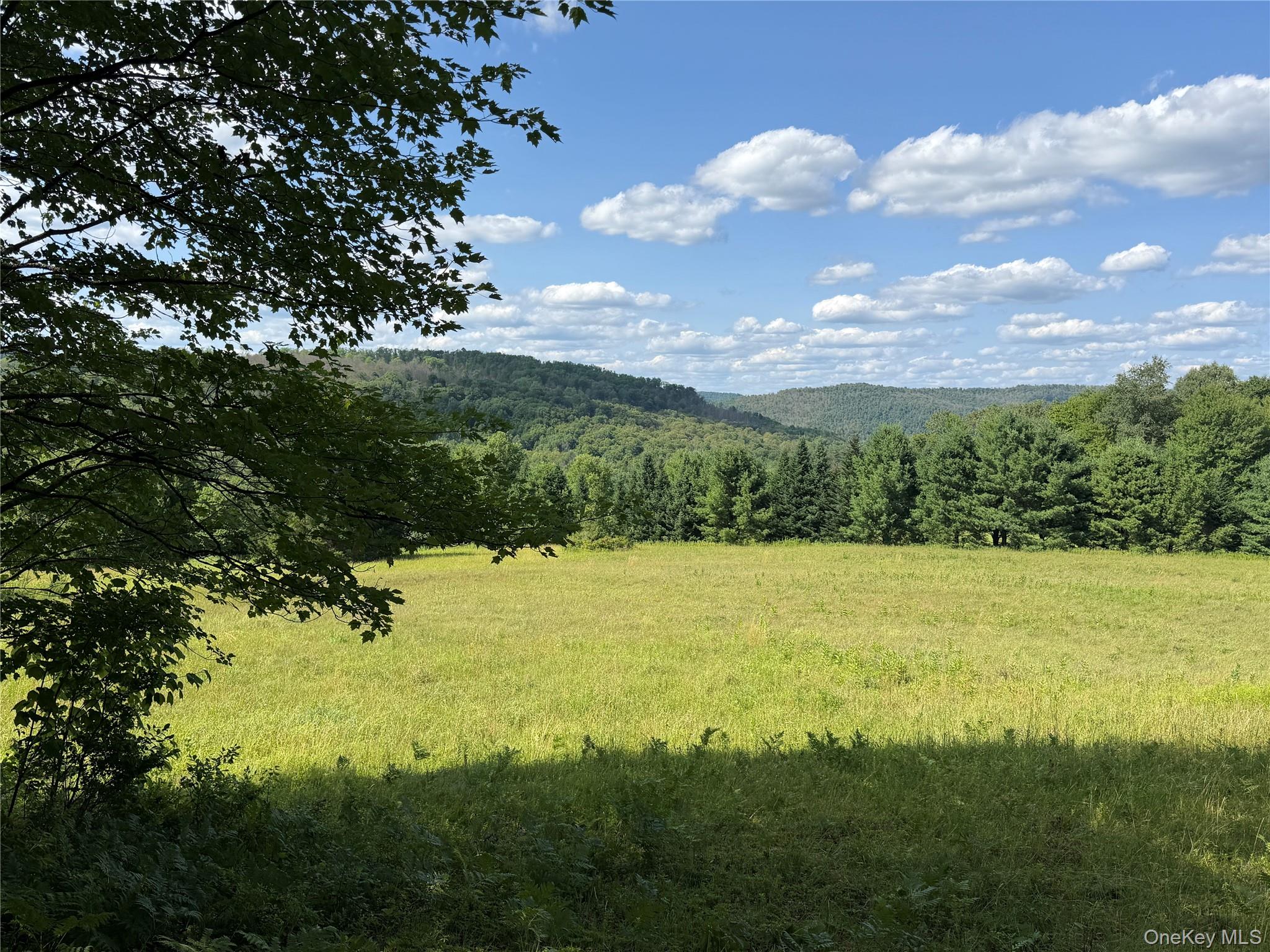 Bert Medlar Road Hancock, NY 13783 - Photo 4 of 17