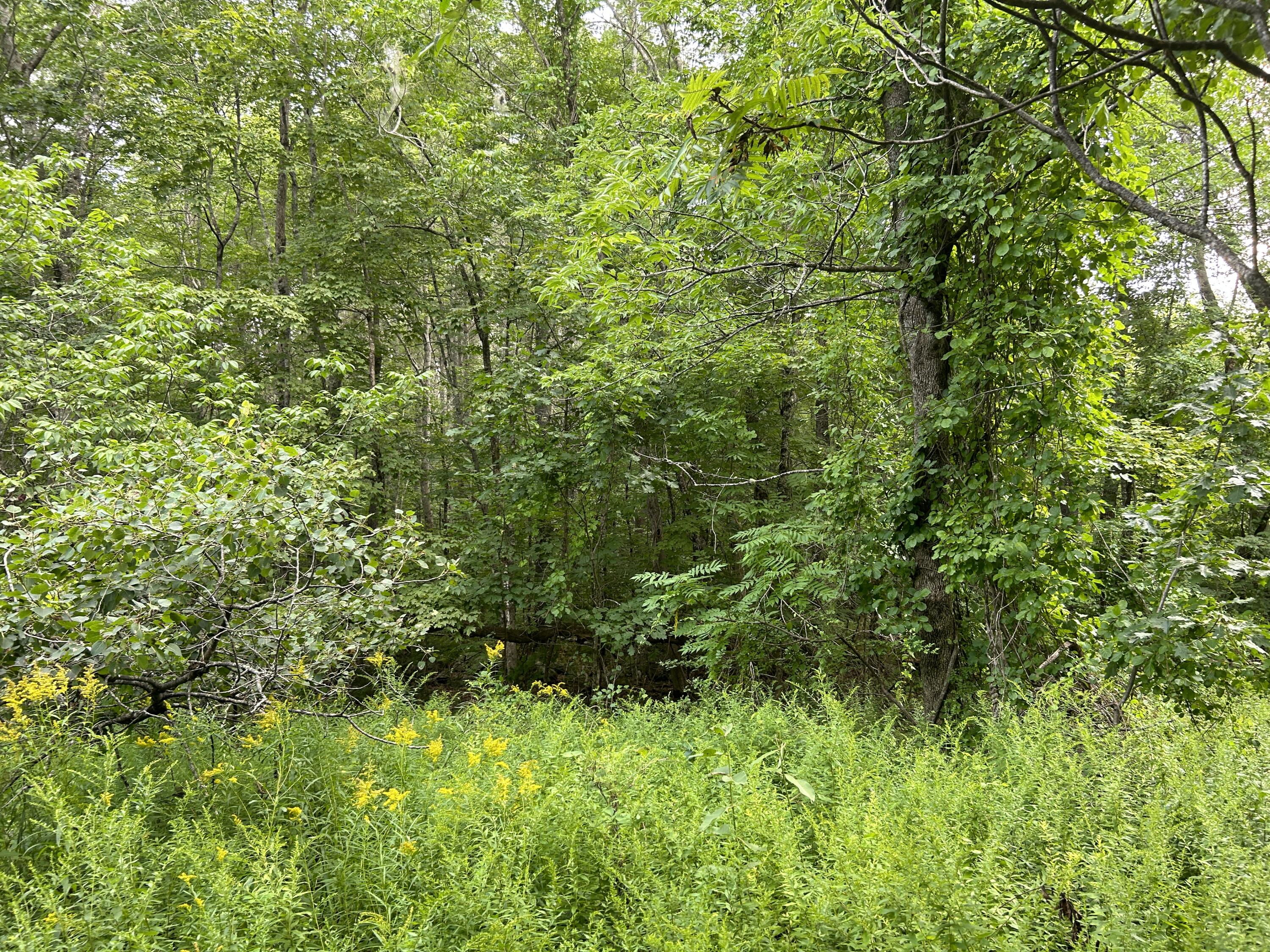 564 Gardiner Road Whitefield, ME 04353 - Photo 4 of 14 71516729-0A29-41F0-8EE7-2FABFD336D00
