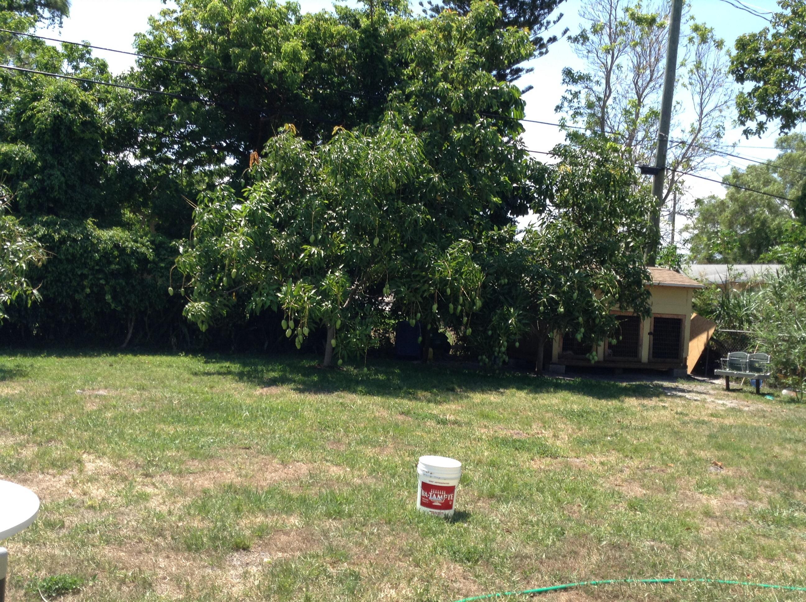 4367 Foss Road Lake Worth, FL 33461 - Photo 14 of 19 Back Yard