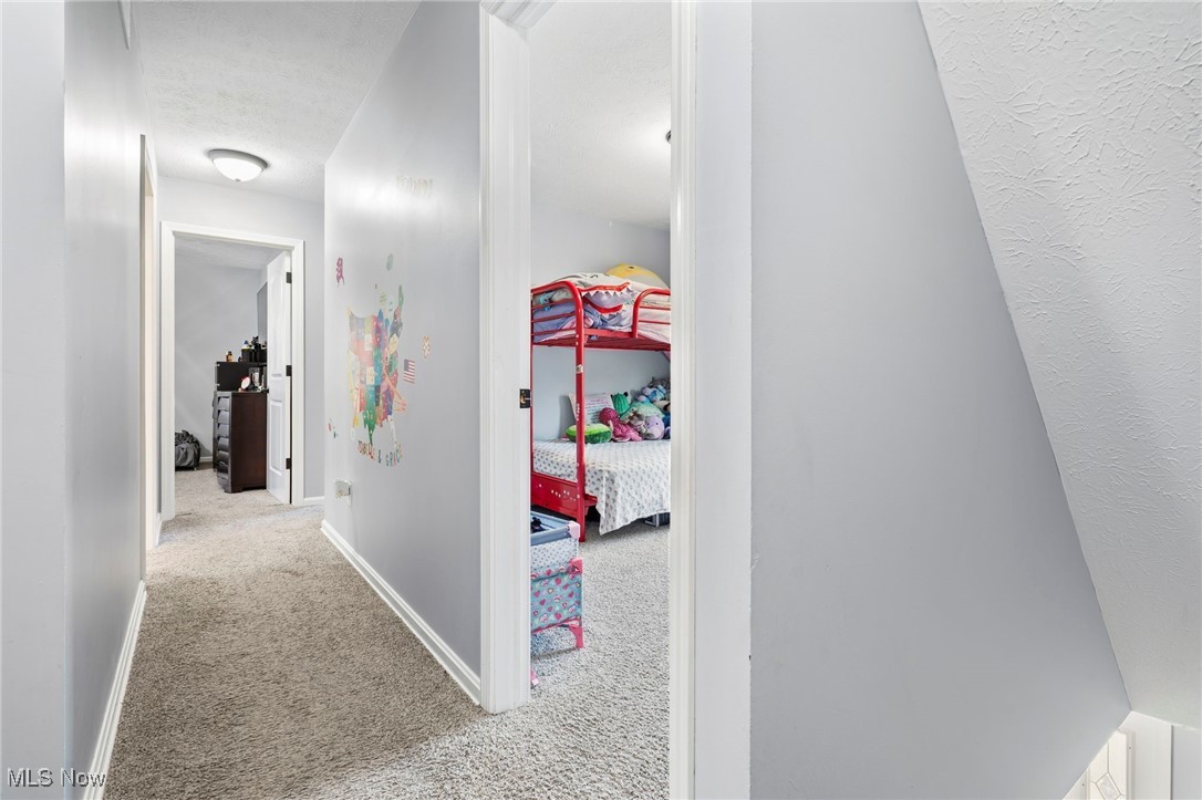 7153 Hudson Road Kent, OH 44240 - Photo 25 of 46 Hall featuring carpet floors and a textured ceiling