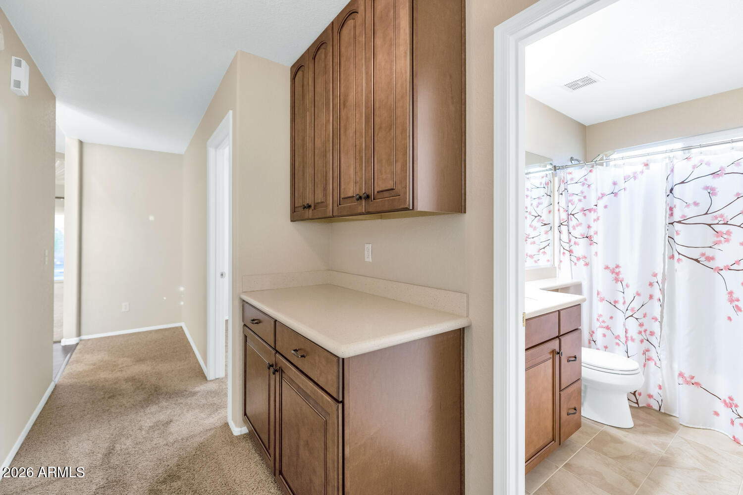 8420 South Stephanie Lane Tempe, AZ 85284 - Photo 22 of 30 Hallway