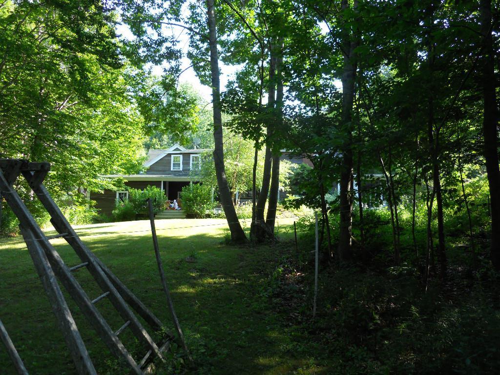 169 West Bay Road Islesboro, ME 04848 - Photo 19 of 19 Rear of house and yard