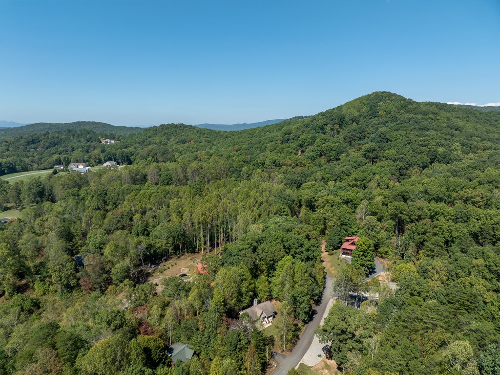 103 Covered Bridge Road Blairsville, GA 30512 - Photo 11 of 65 Gallery Image 11