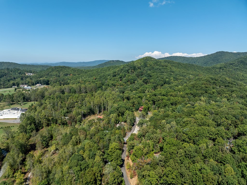 103 Covered Bridge Road Blairsville, GA 30512 - Photo 13 of 65 Gallery Image 13