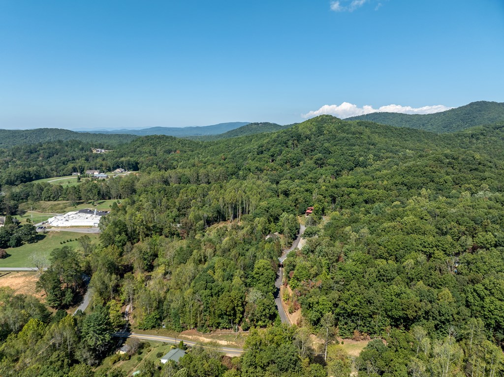 103 Covered Bridge Road Blairsville, GA 30512 - Photo 14 of 65 Gallery Image 14