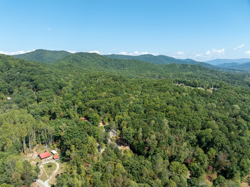103 Covered Bridge Road Blairsville, GA 30512 - Photo 15 of 65 Gallery Image 15