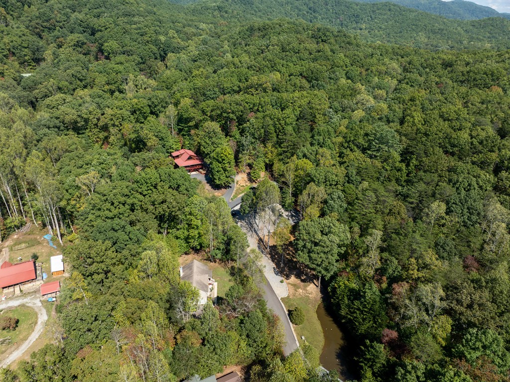 103 Covered Bridge Road Blairsville, GA 30512 - Photo 16 of 65 Gallery Image 16