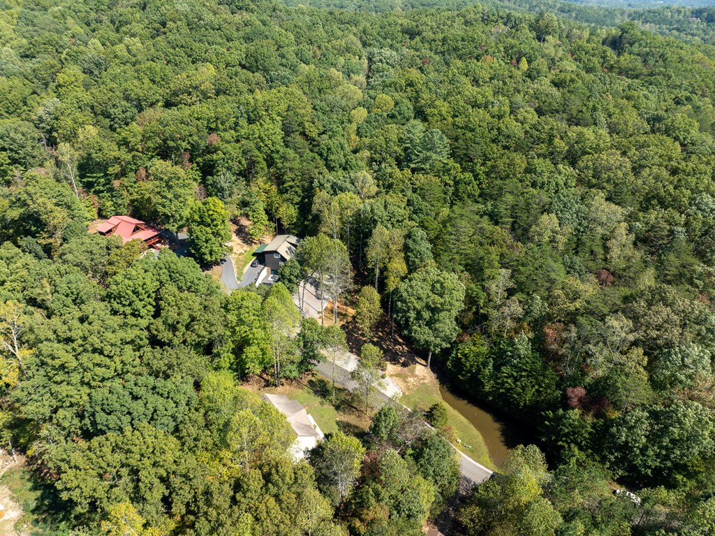 103 Covered Bridge Road Blairsville, GA 30512 - Photo 17 of 65 Gallery Image 17