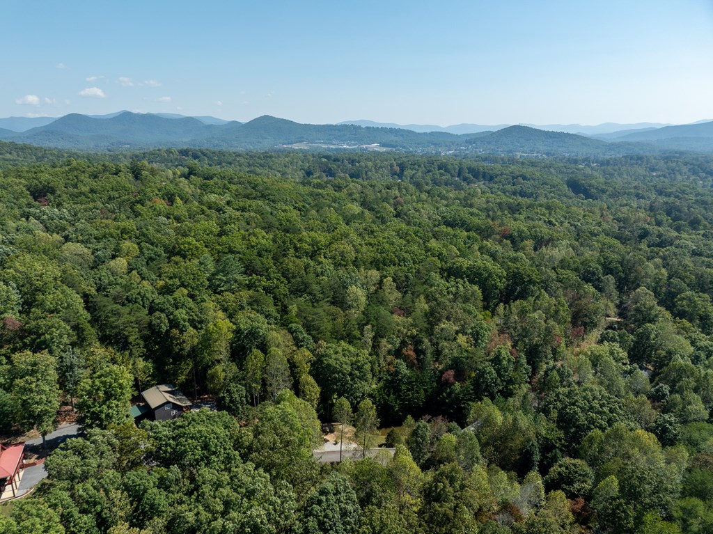 103 Covered Bridge Road Blairsville, GA 30512 - Photo 19 of 65 Gallery Image 19