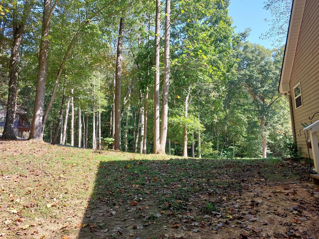 103 Covered Bridge Road Blairsville, GA 30512 - Photo 27 of 65 Gallery Image 27