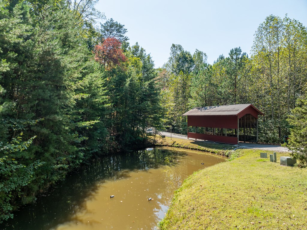103 Covered Bridge Road Blairsville, GA 30512 - Photo 3 of 65 Gallery Image 3