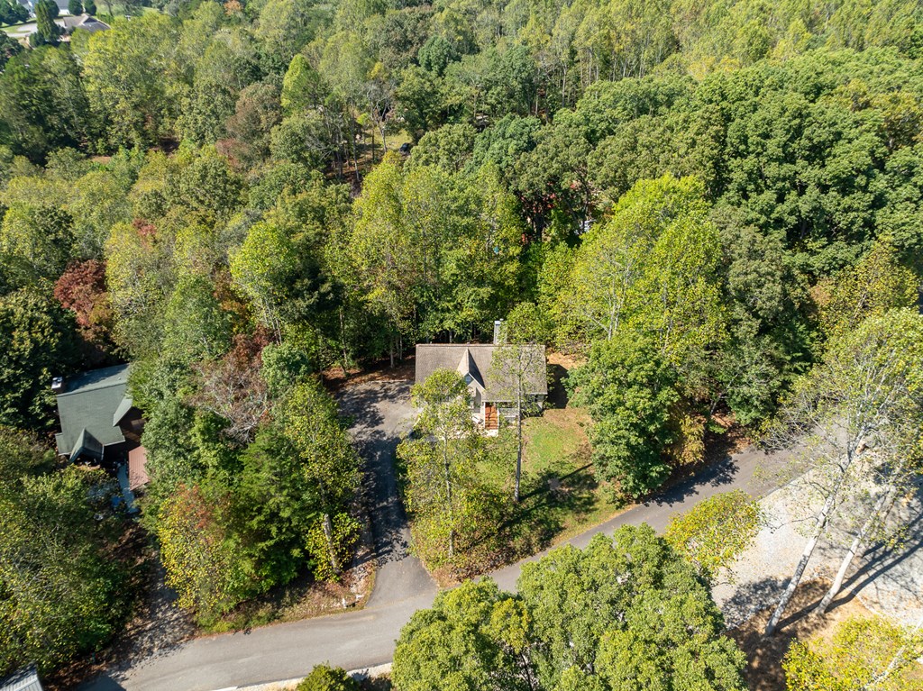 103 Covered Bridge Road Blairsville, GA 30512 - Photo 5 of 65 Gallery Image 5