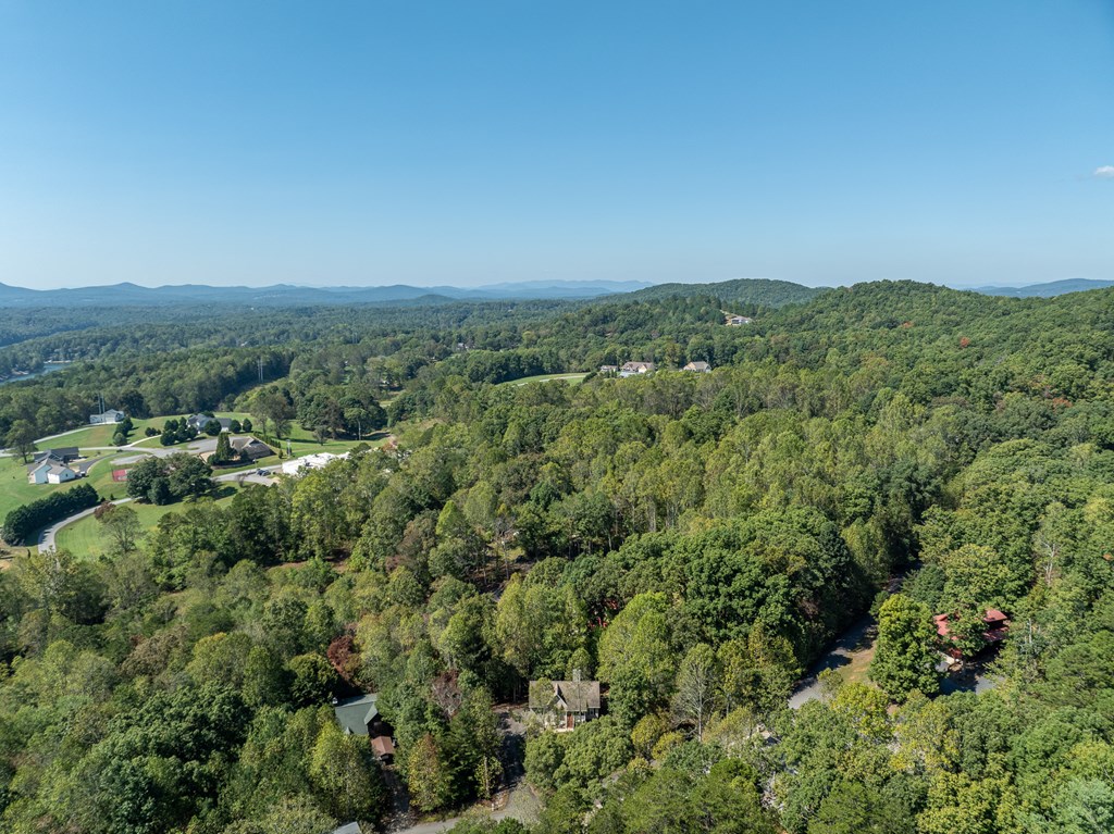 103 Covered Bridge Road Blairsville, GA 30512 - Photo 7 of 65 Gallery Image 7