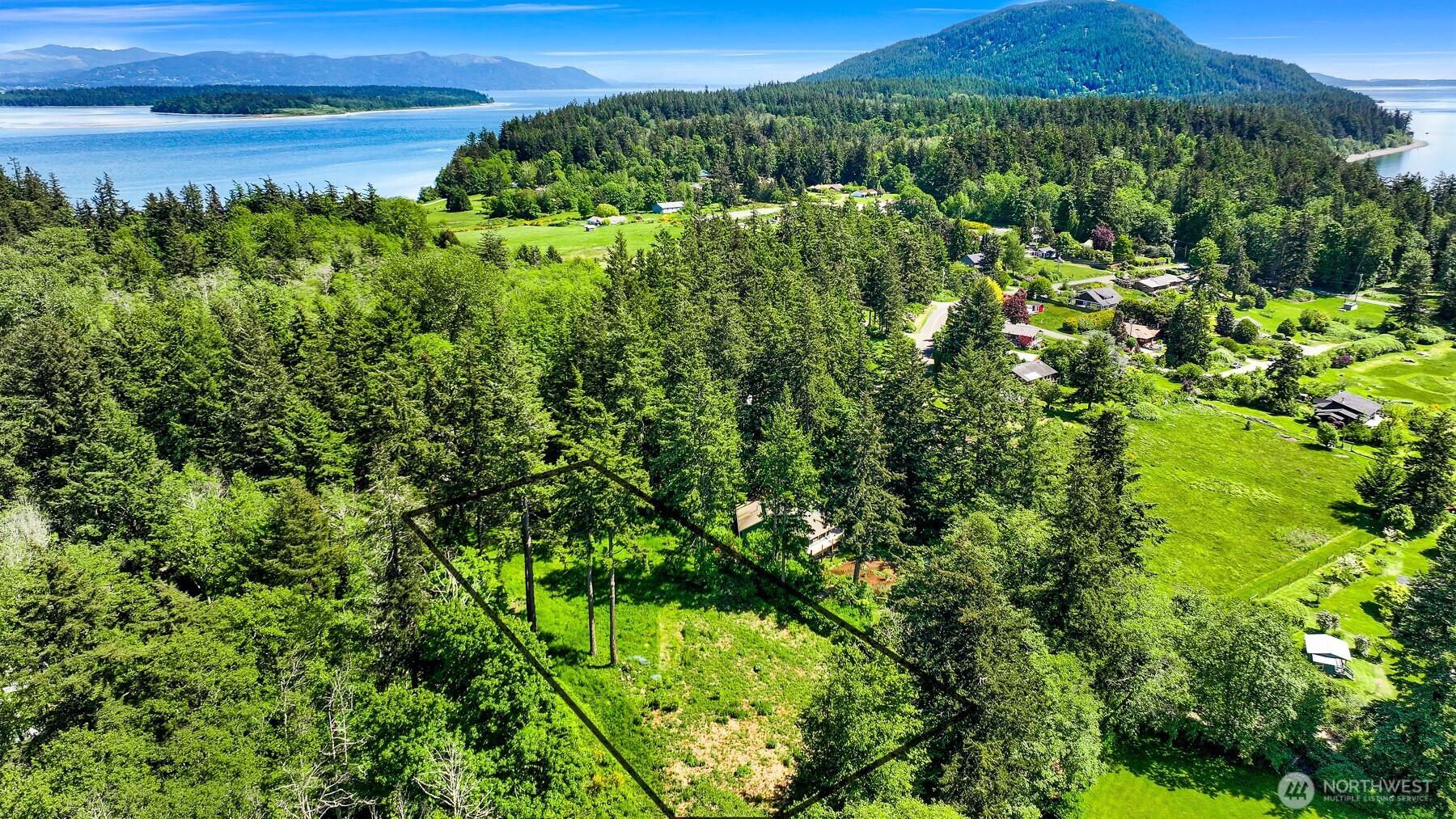 2093 Granger Way Lummi Island, WA 98262 - Photo 1 of 35 a view of a lush green forest with a lush green forest