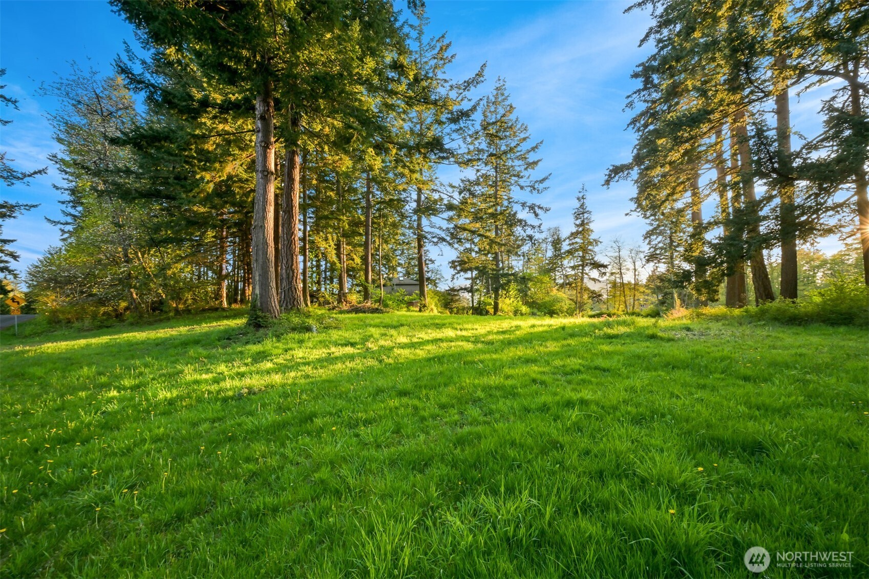 2093 Granger Way Lummi Island, WA 98262 - Photo 12 of 35 a view of garden