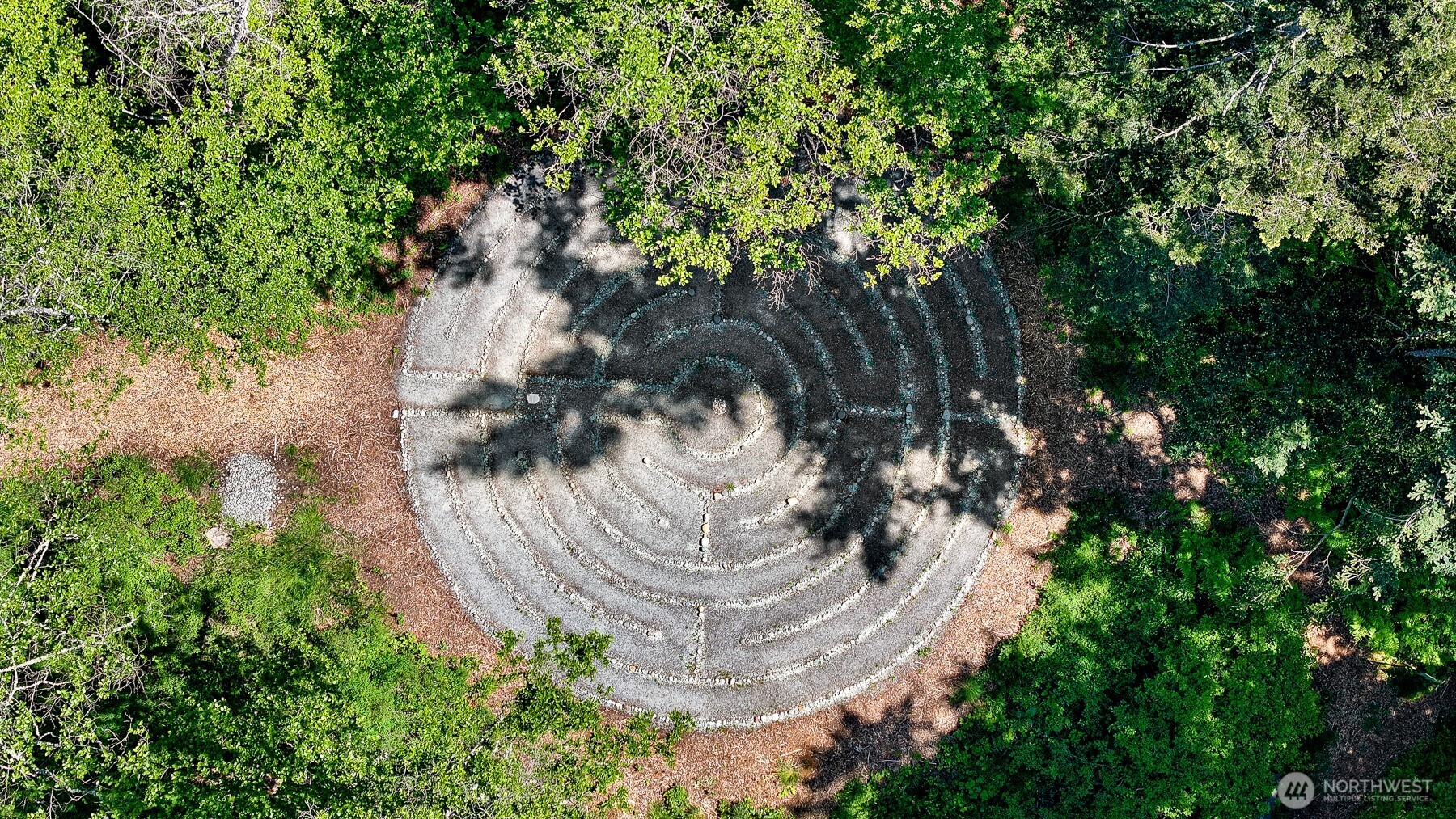2093 Granger Way Lummi Island, WA 98262 - Photo 19 of 35 a view of a tree in a yard