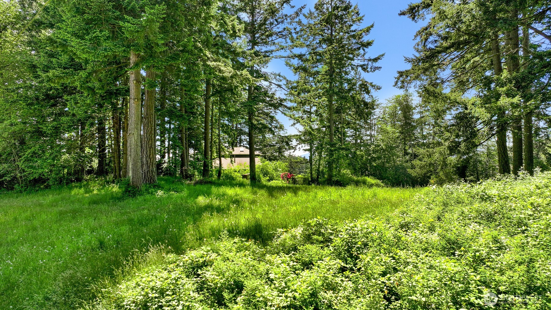 2093 Granger Way Lummi Island, WA 98262 - Photo 4 of 35 a view of backyard with green space