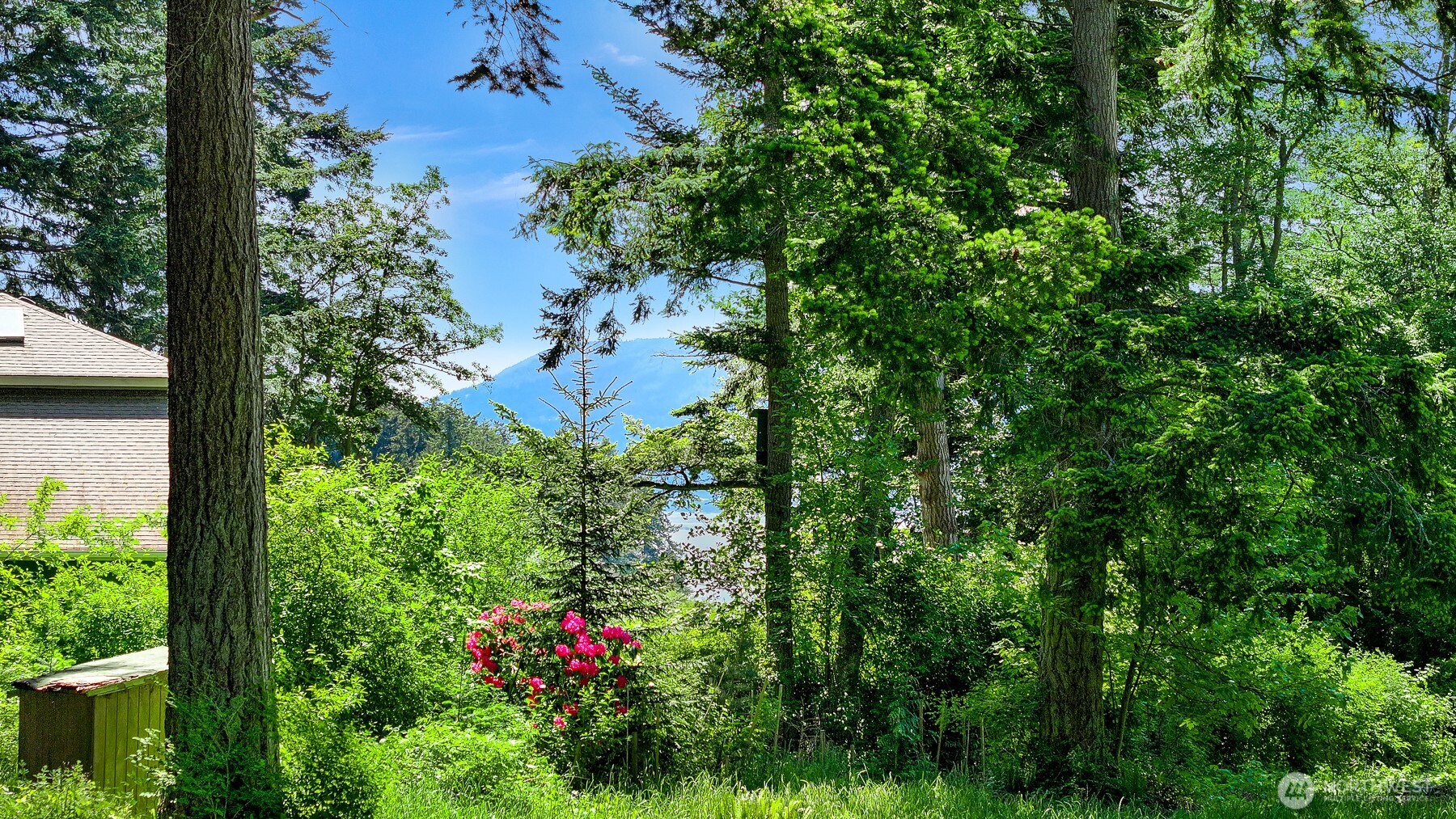 2093 Granger Way Lummi Island, WA 98262 - Photo 7 of 35 an aerial view of a house with yard
